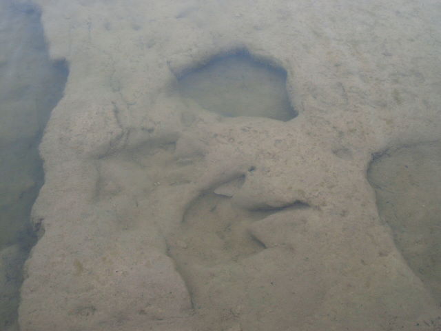 Pegadas de dinossauros no rio Paluxy, Texas