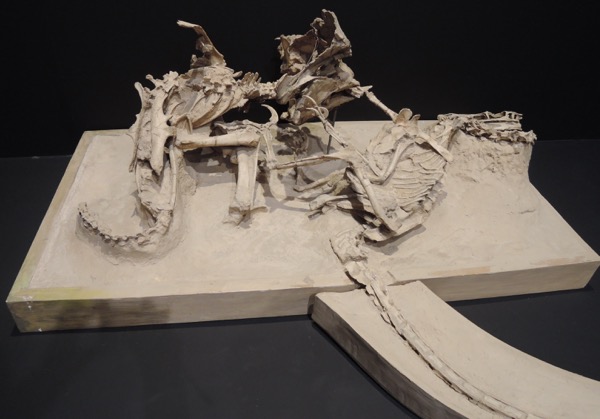 Dinossauros Lutadores, Deserto de Gobi