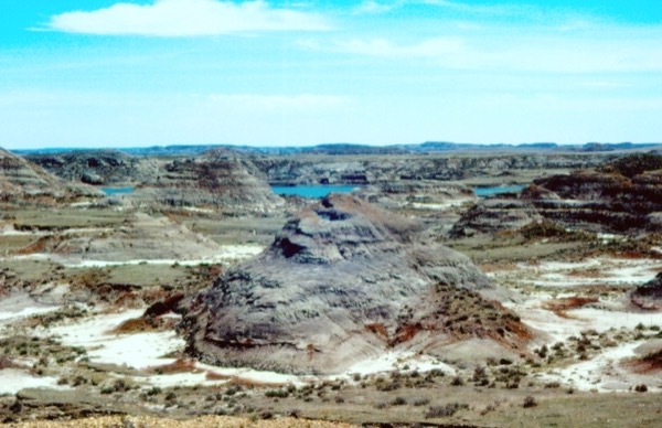 Formação Hell Creek, Montana