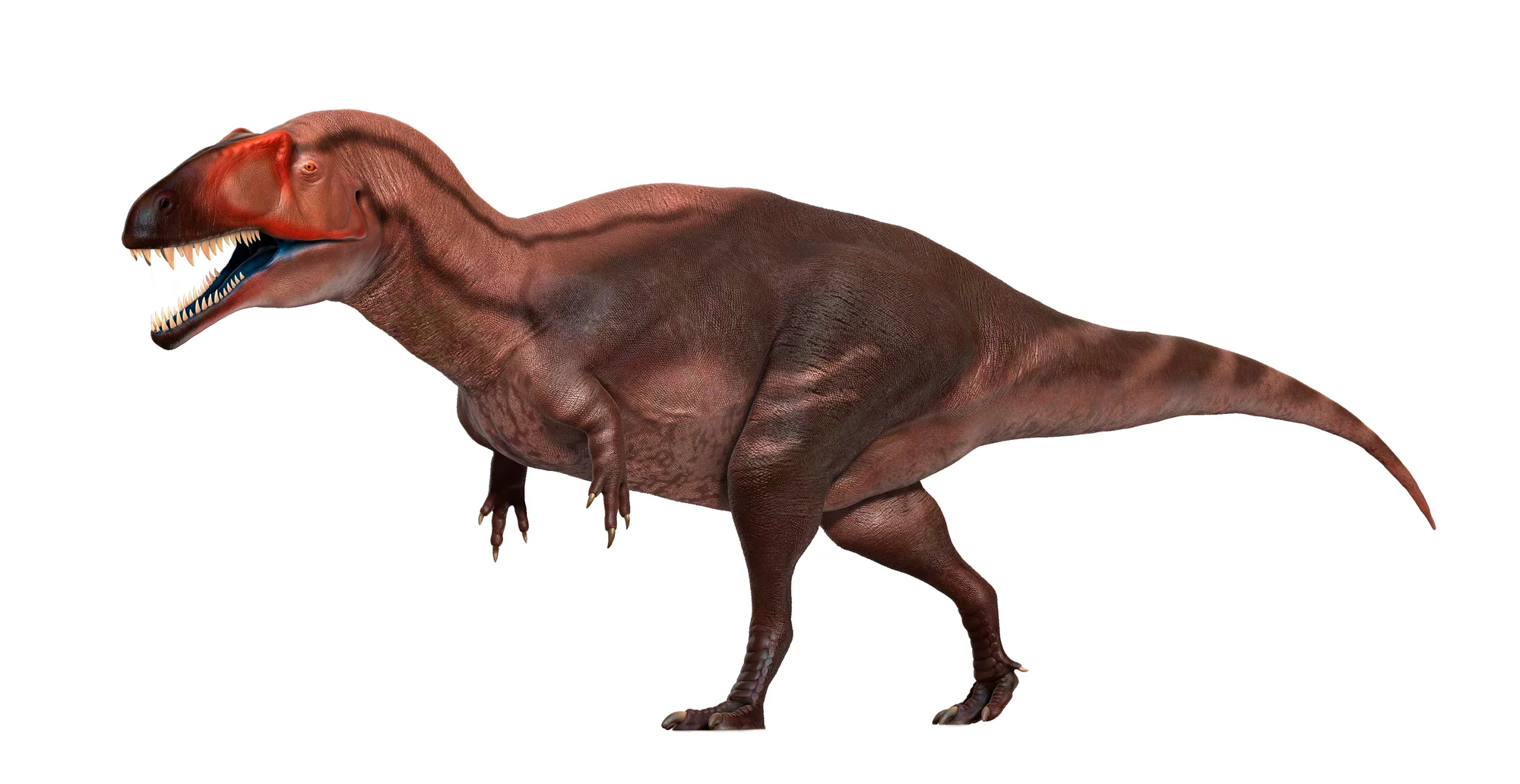 Acrocanthosauro