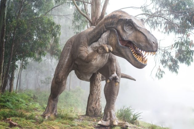 Modelo em escala natural de Albertosaurus sarcophagus em exposição ao ar livre.