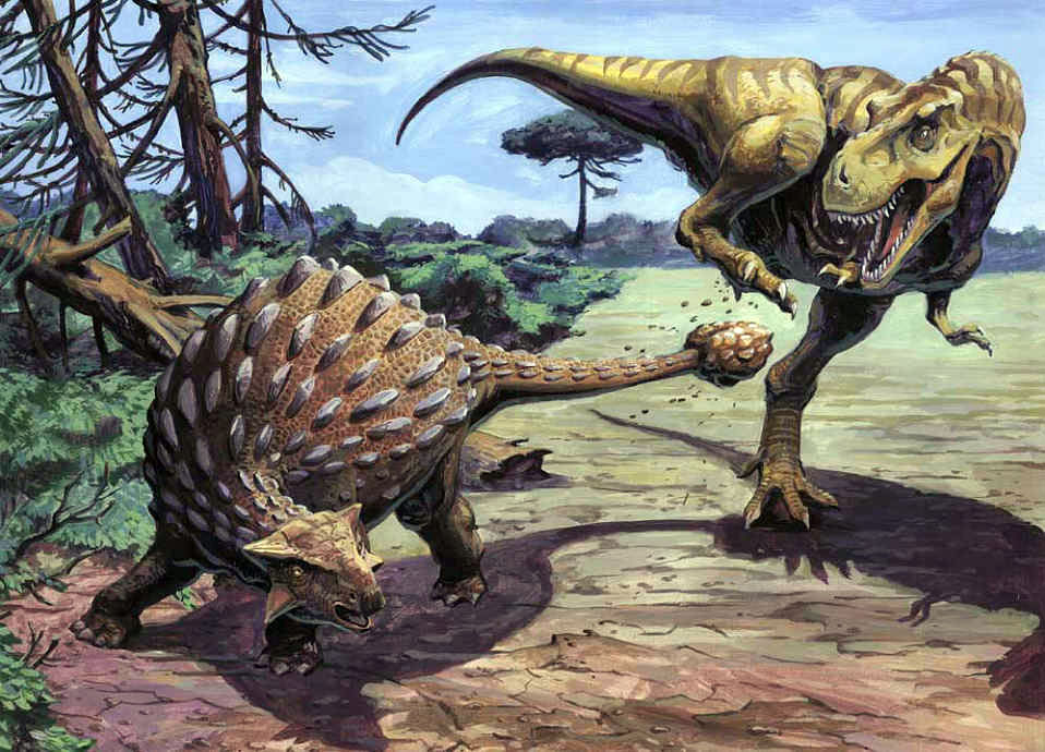 Confronto entre Ankylosaurus e Tyrannosaurus rex, os dois grandes co-habitantes da Formação Hell Creek.