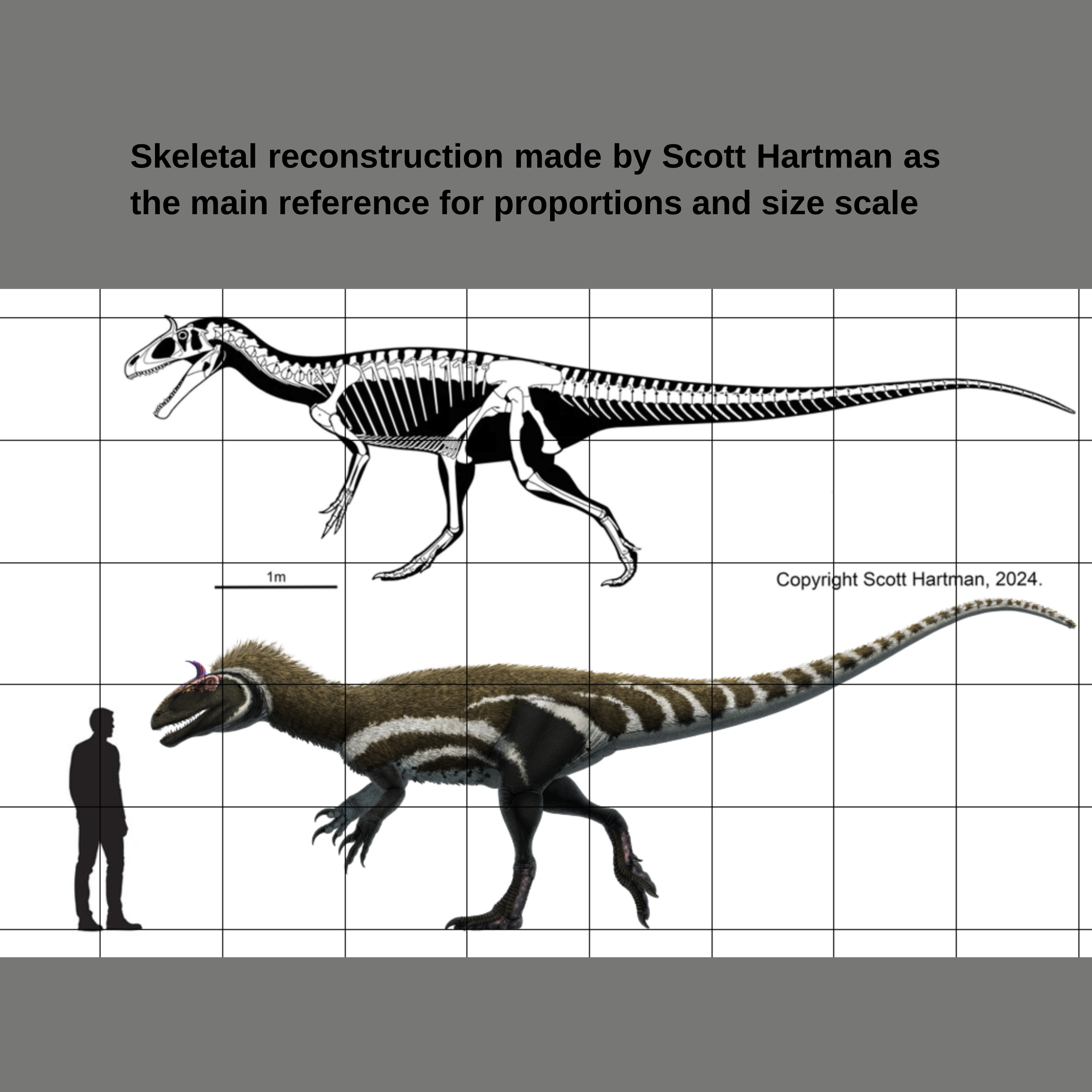 Reconstituição esqueletal de Cryolophosaurus ellioti por Scott Hartman, usada como referência principal para proporções e escala de tamanho. Comparação com silhueta humana e grade métrica de 1 metro.