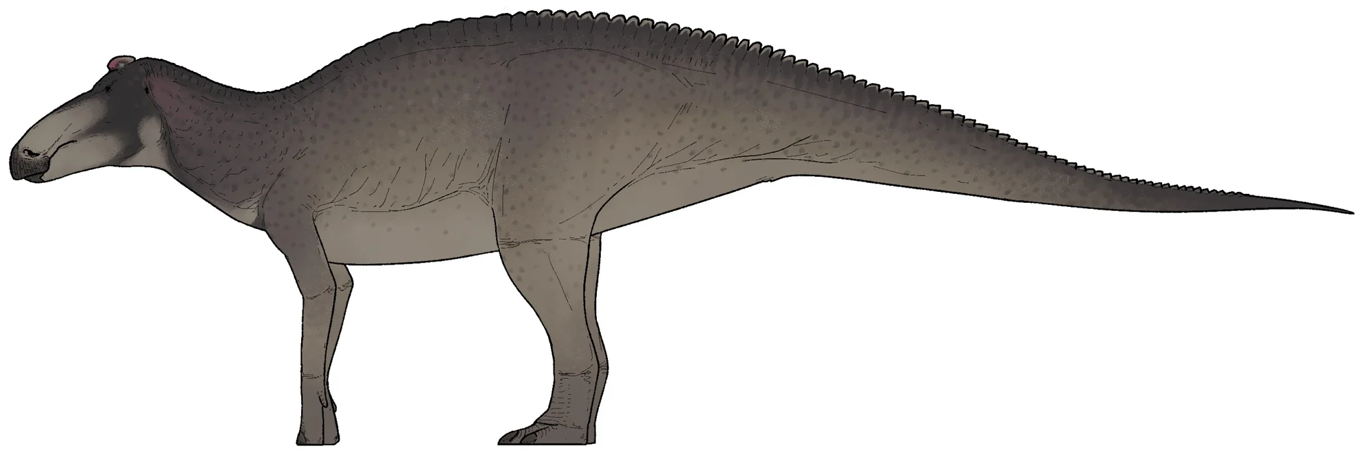 Edmontosauro