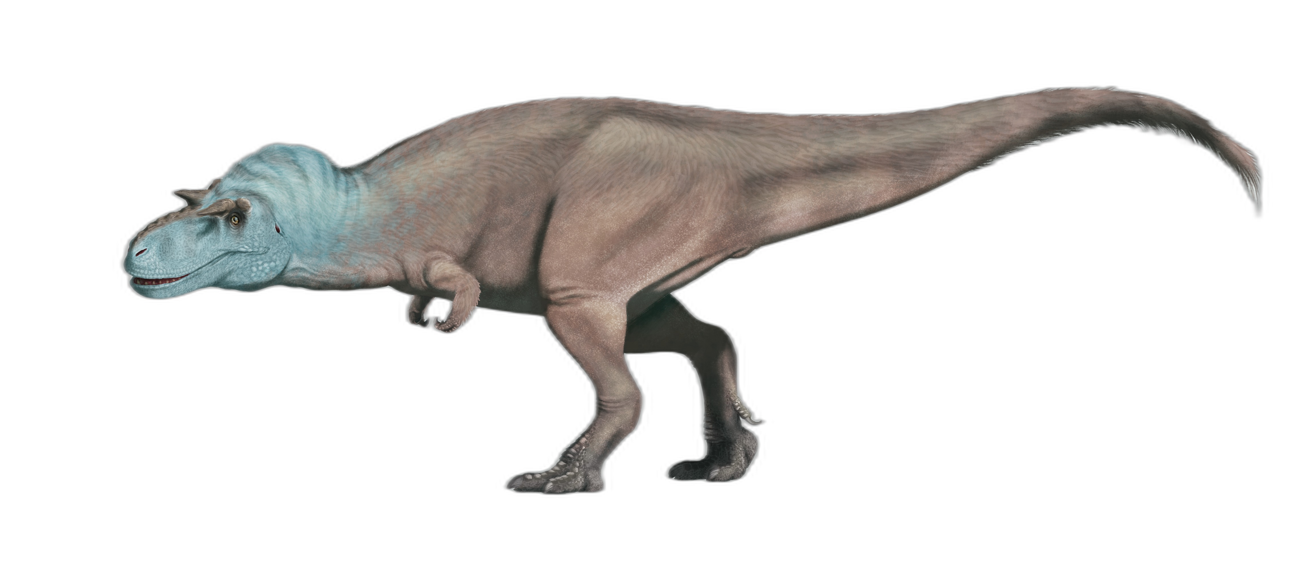 Gorgosauro