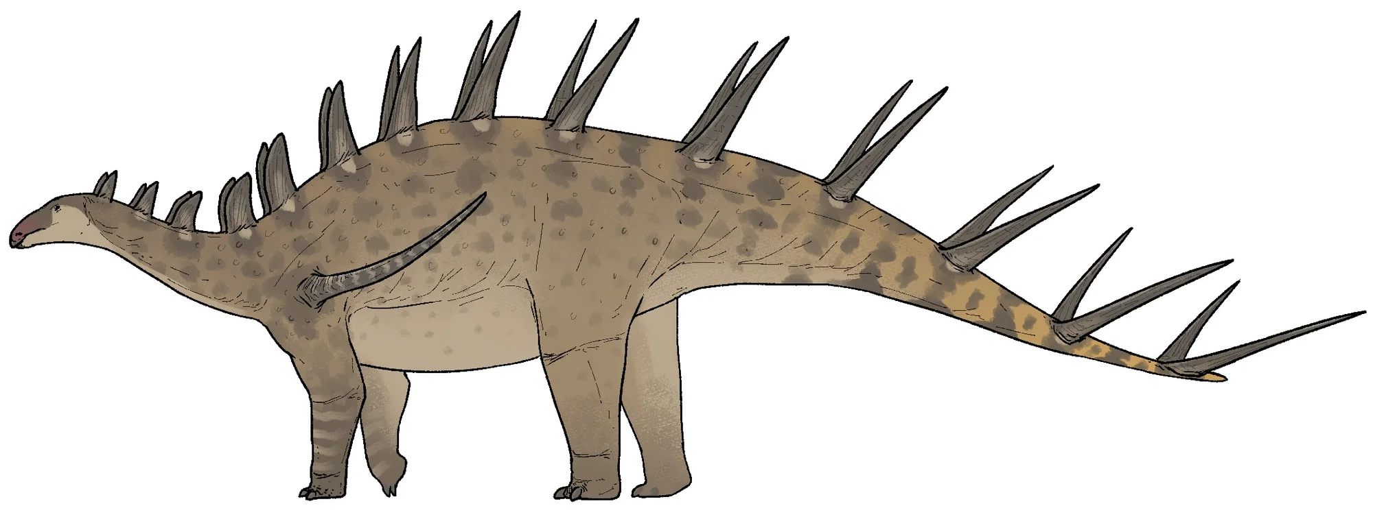 Kentrosauro