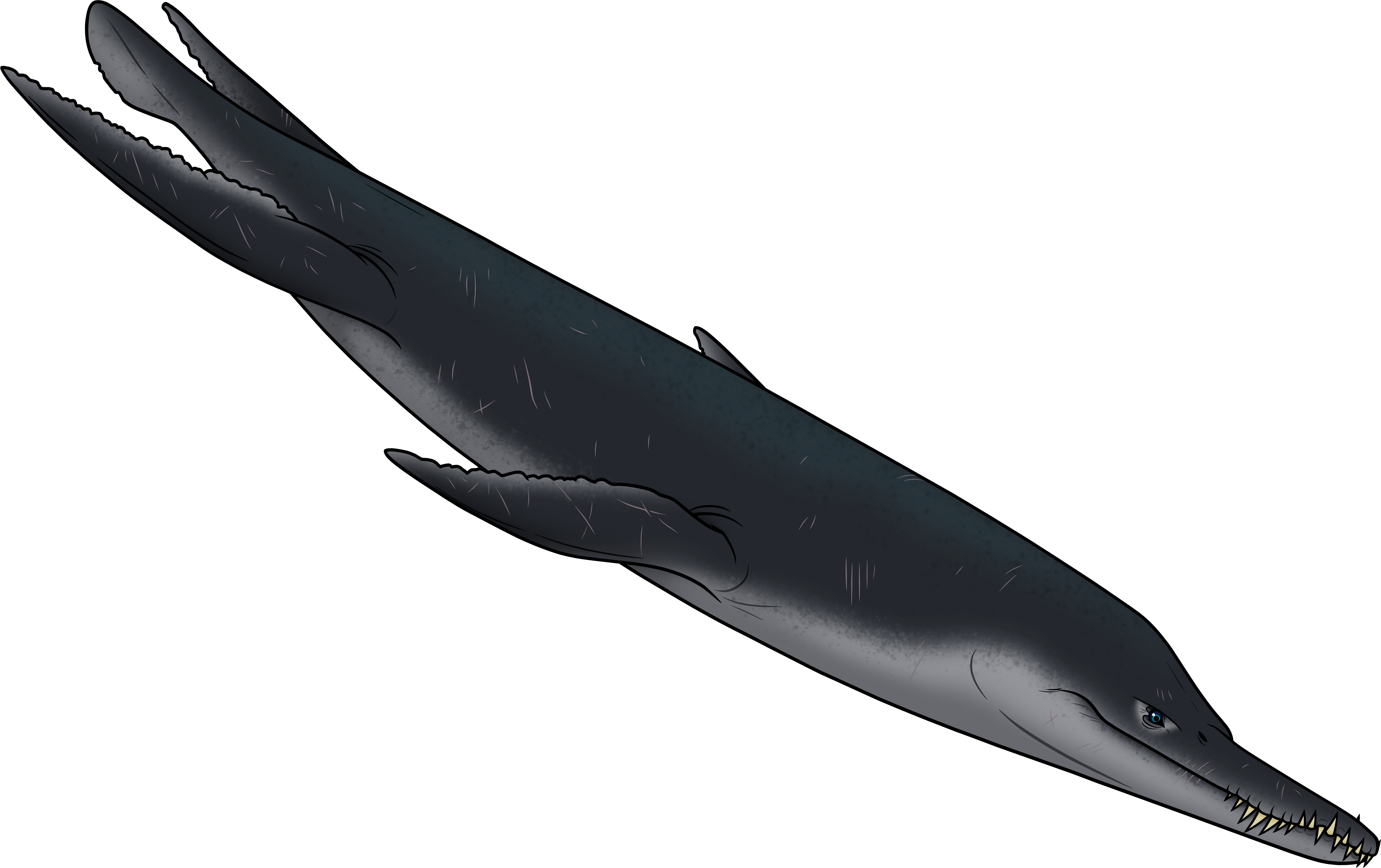 Liopleurodon ferox