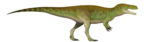 Megalosaurus bucklandii