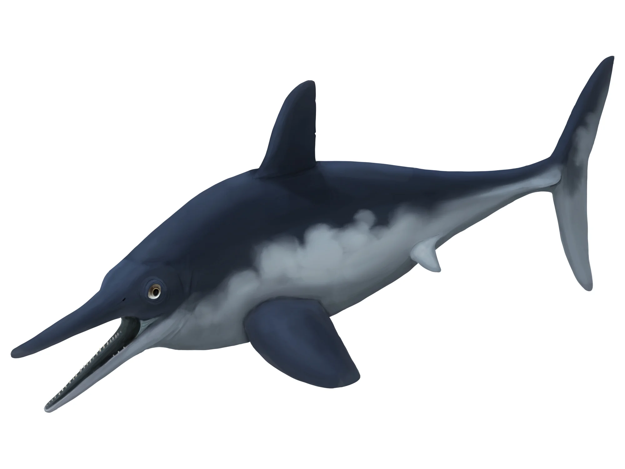 Ophthalmosauro