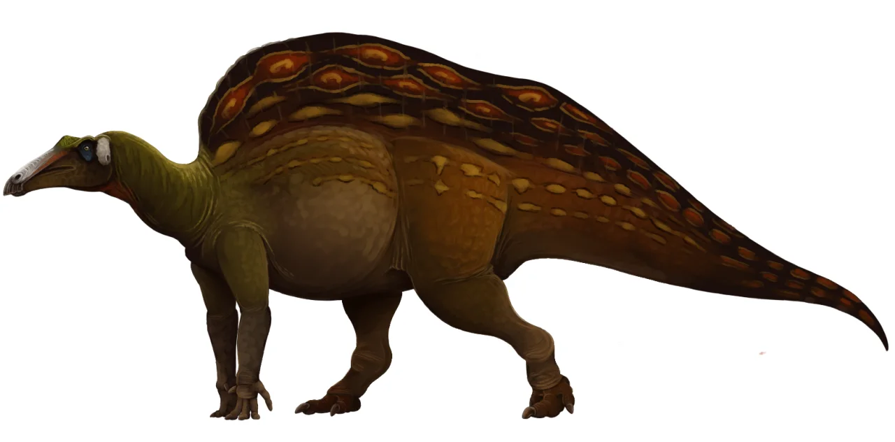 Reconstituição artística de Ouranosaurus nigeriensis em vista lateral, destacando a vela dorsal com padrões coloridos e a postura quadrúpede facultativa.
