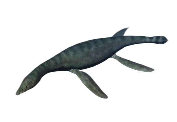 Rhomaleosaurus cramptoni