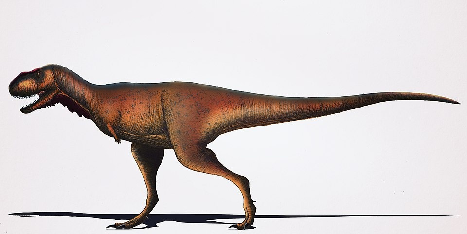Rugops primus