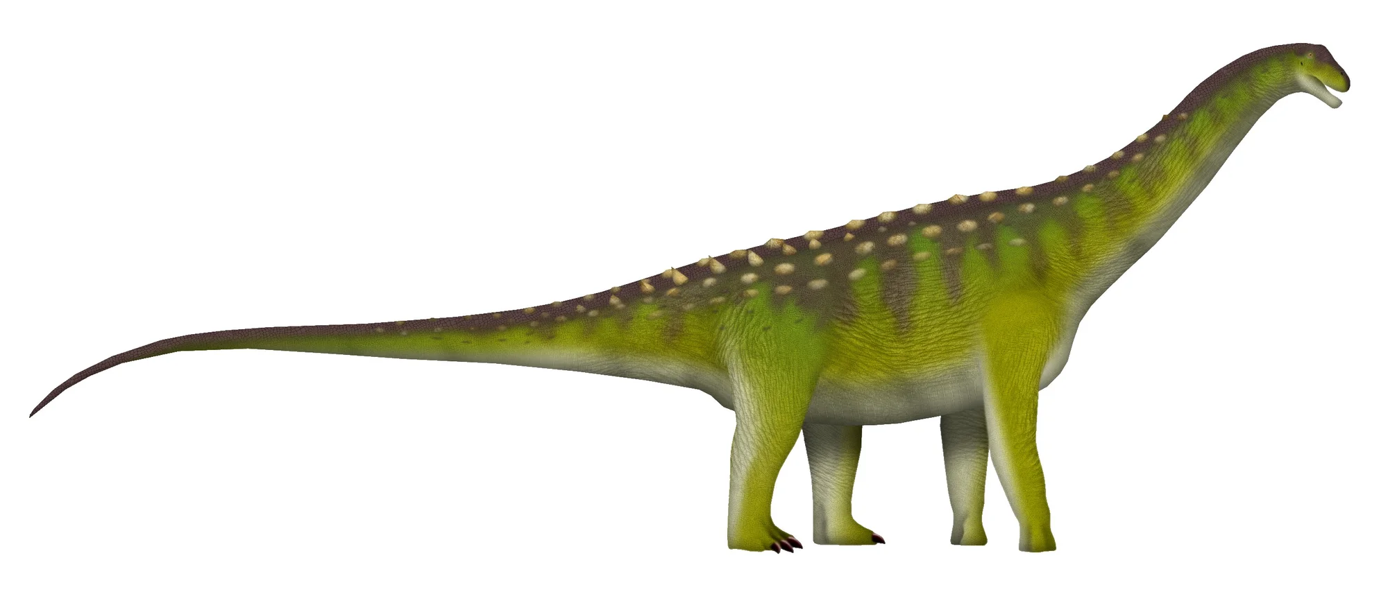 Saltasauro