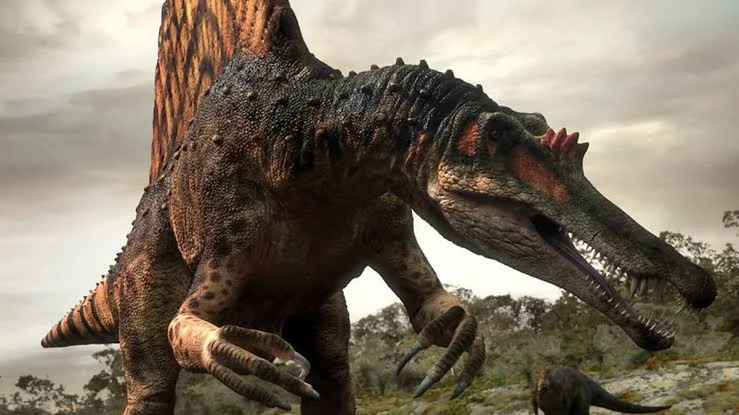 Reconstituição artística de Spinosaurus com a vela dorsal e focinho alongado característicos da espécie.