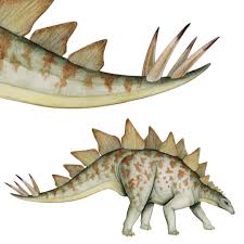 Ilustração científica de Stegosaurus mostrando as placas dorsais e espinhos da cauda (thagomizer).