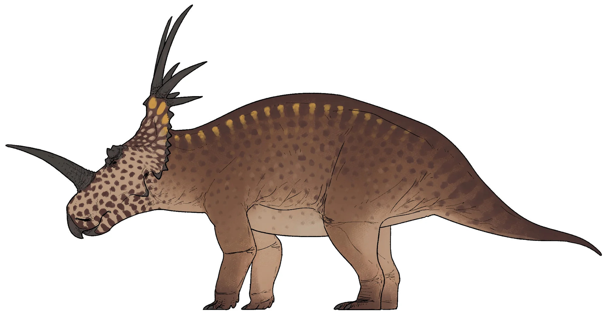 Styracosauro