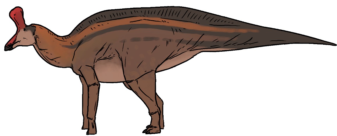 Tsintaosauro