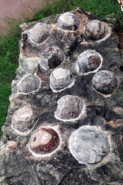 Ovos fossilizados de dinossauro
